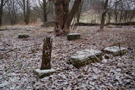 Zaniklý hřbitov Slezská Harta_14