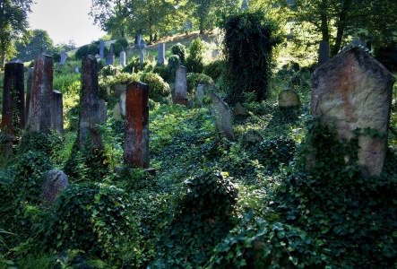 6idovský hřbitov Boskovice_10