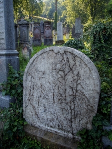 Židovský hřbitov Boskovice_25