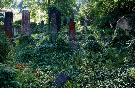 Židovský hřbitov Boskovice_41
