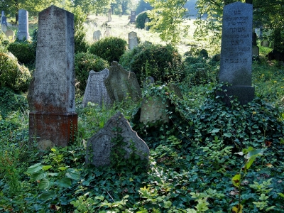 Židovský hřbitov Boskovice_46
