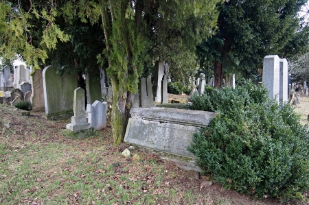 Židovský hřbitov Bzenec_29