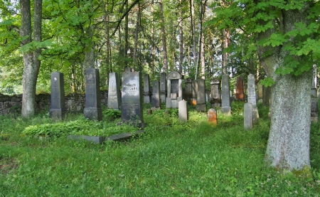 Židovský hřbitov Dřevíkov_12