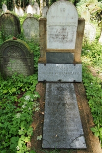 Židovský hřbitov Dřevíkov_20