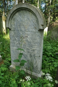 Židovský hřbitov Dřevíkov_21