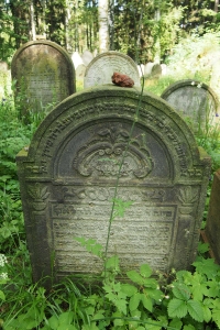 Židovský hřbitov Dřevíkov_22