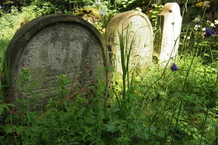 Židovský hřbitov Dřevíkov_27