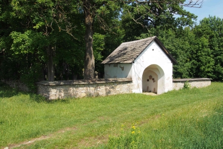 Židovský hřbitov Dřevíkov