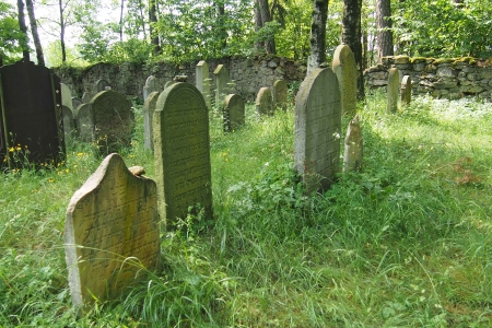 Židovský hřbitov Dřevíkov_30
