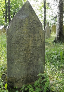 Židovský hřbitov Dřevíkov_37