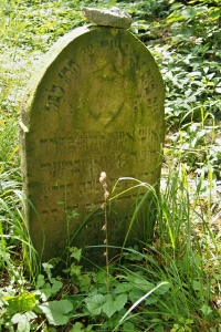 Židovský hřbitov Dřevíkov_41