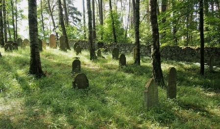 Židovský hřbitov Dřevíkov_48
