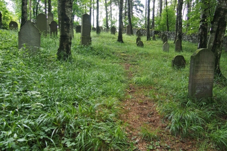 Židovský hřbitov Dřevíkov_51