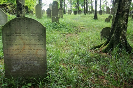 Židovský hřbitov Dřevíkov_52