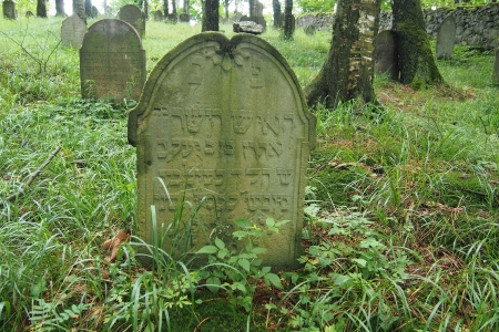 Židovský hřbitov Dřevíkov_53