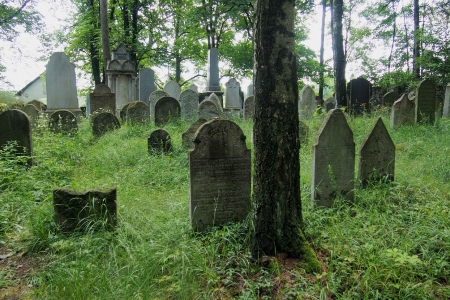 Židovský hřbitov Dřevíkov_61