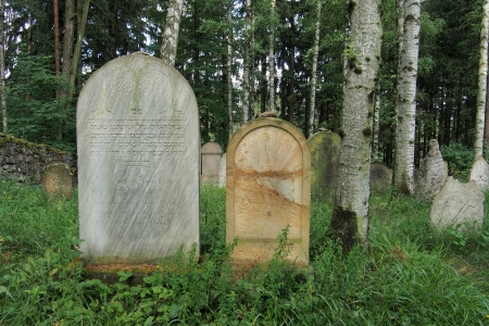 Židovský hřbitov Dřevíkov_64