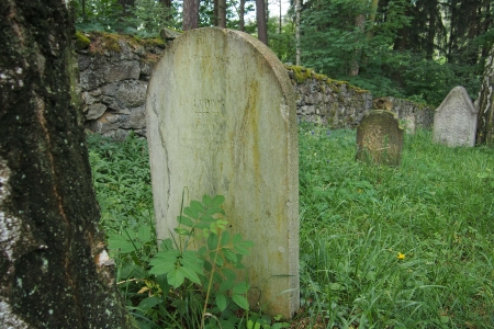 Židovský hřbitov Dřevíkov_67