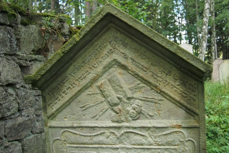 Židovský hřbitov Dřevíkov_71