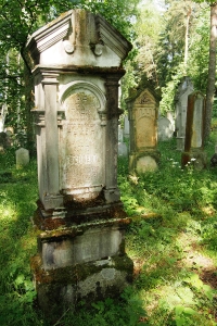 Židovský hřbitov Dřevíkov_86