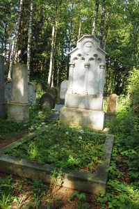 Židovský hřbitov Dřevíkov_87