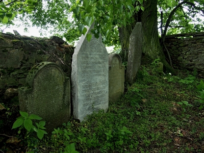 Židovská hřbitov Divišov_42