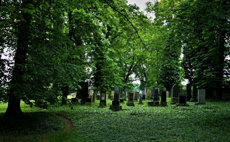 Židovský hřbitov Divišov_2