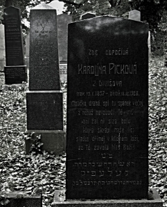 Židovský hřbitov Divišov_6