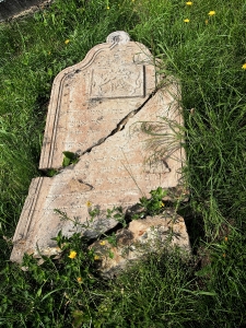 Židovský hřbitov Dolní Kounice_18