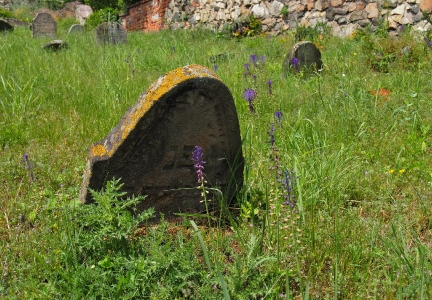 Židovský hřbitov Dolní Kounice_32