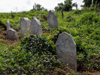 Židovský hřbitov Dolní Kounice_37