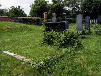 Židovský hřbitov Dolní Kounice_42