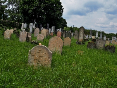 Židovský hřbitov Dolní Kounice_5
