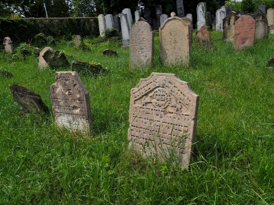 Židovský hřbitov Dolní Kounice_7