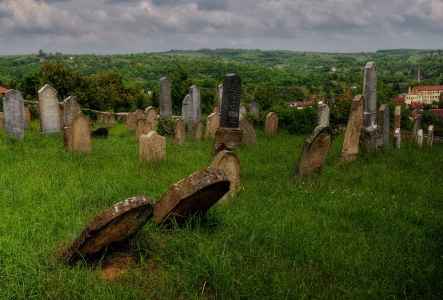 Židovský hřbitov Dolní Kounice_8