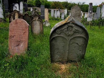 Židovský hřbitov Dolní Kounice_9