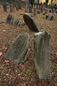 Židovský hřbitov Hranice_31