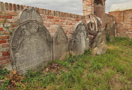 Židovský hřbitov Ivančice_29