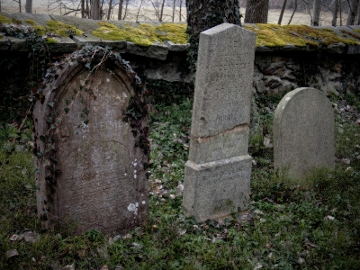 Židovský hřbitov Kamenice nad Lipou_5