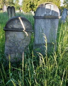 Židovský hřbitov Kojetín_35