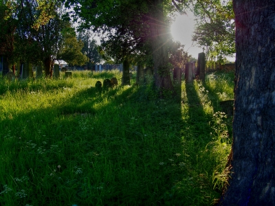 Židovský hřbitov Kojetín_3