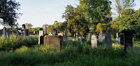 Židovský hřbitov Kojetín_4