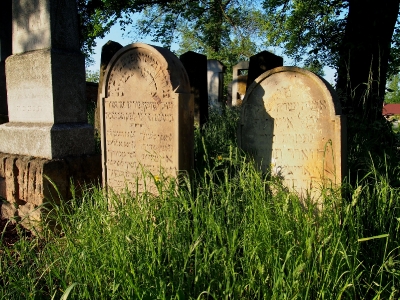 Židovský hřbitov Kojetín_55