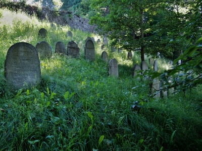 Židovský hřbitov Kolínec_7