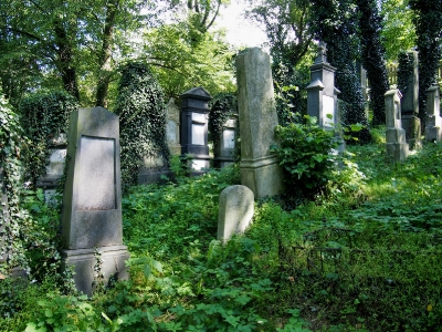 Židovský hřbitov Čkyně