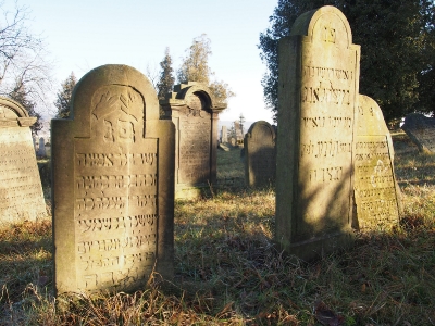 Židovský hřbitov Loštice_2