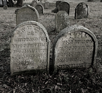 Židovský hřbitov Loštice_4