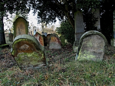 Židovský hřbitov Loštice - 3