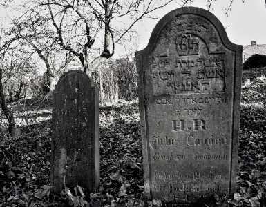 Židovský hřbitov Loštice_17