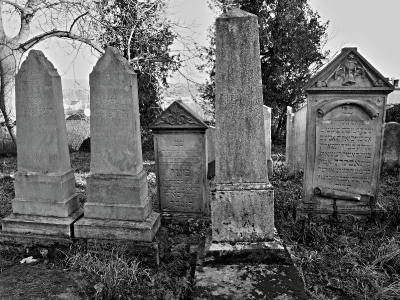 Židovský hřbitov Loštice_19